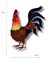 Большая садовая фигура Петух Феникс Z27064